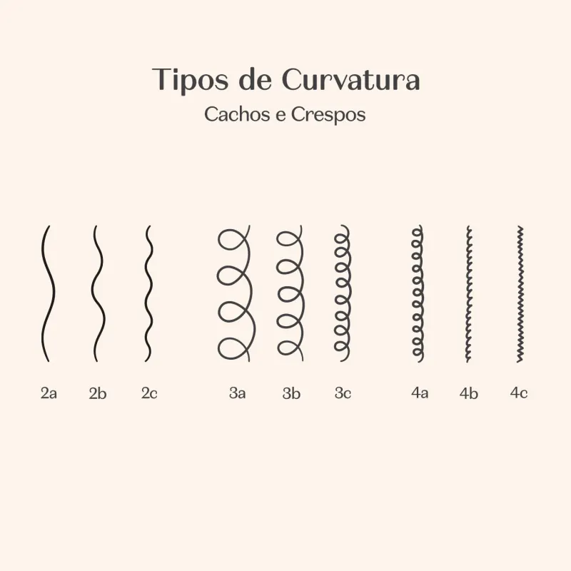 36ef7aec-3d93-4dcf-91ce-6ec222d1cc3d-bot-match-ciencia-das-curvas-card-tipos-cabelo.webp