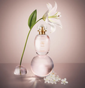 b2ae1b29-2173-4b70-b42e-a5e5e7a98535-bot-86895-l-eau-de-lily-ambientada-04.webp